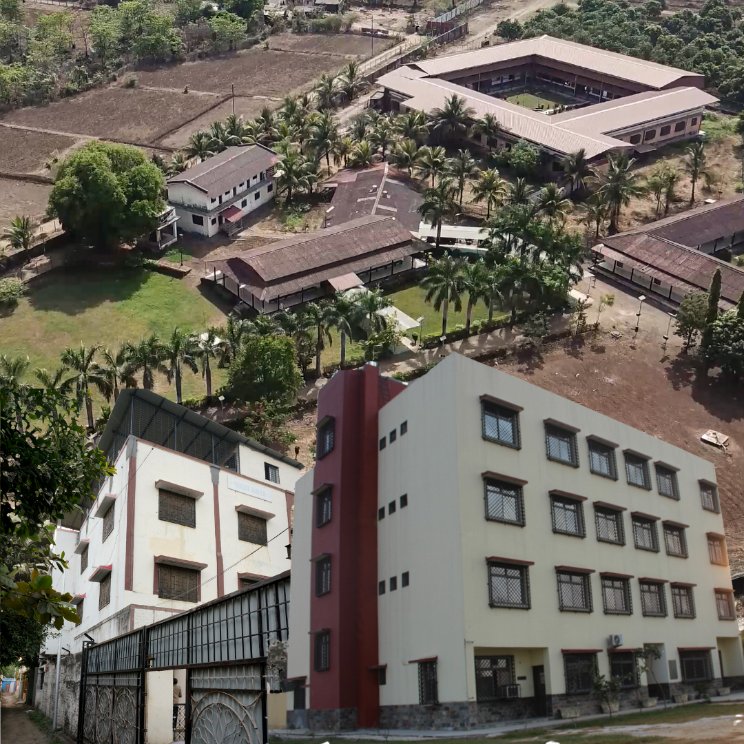 Aerial view of a Rescue Foundation shelter home campus: low tiled buildings around a courtyard, surrounded by palms and farmland.